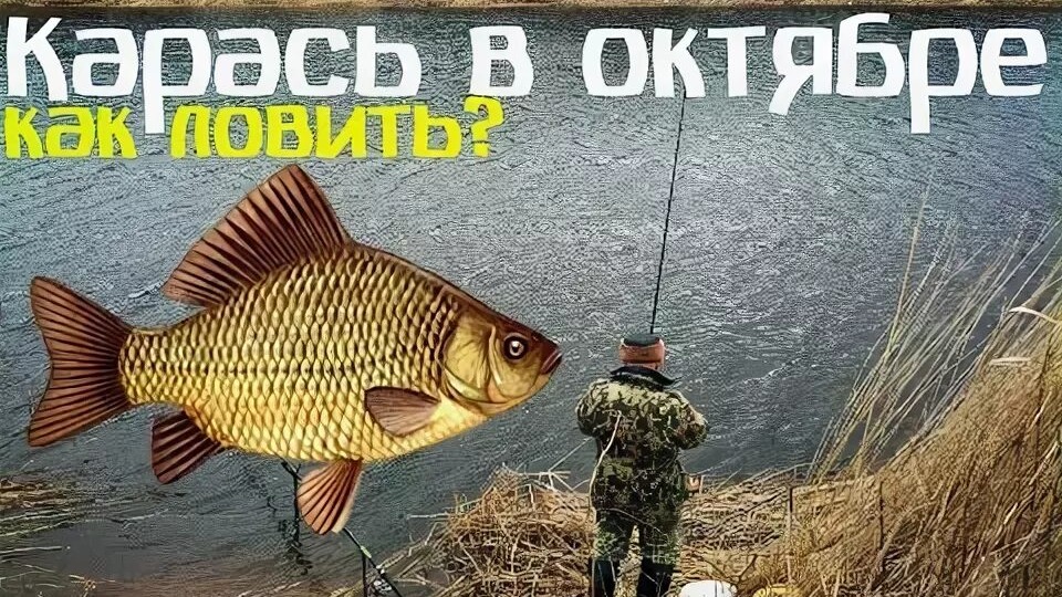 Как ловить карася в октябре: 7 секретов, которые изменят вашу рыбалку