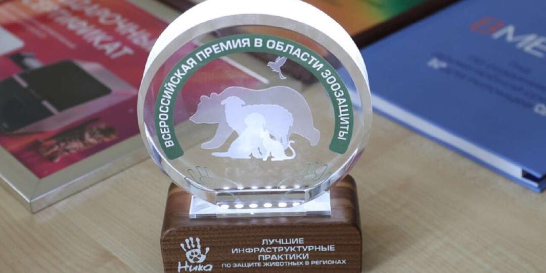 На Всероссийской премии в области защиты животных отметили муниципальный приют Воронежа