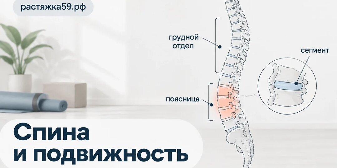Мини-комплекс для подвижности позвоночника дома — 3 простых упражнения