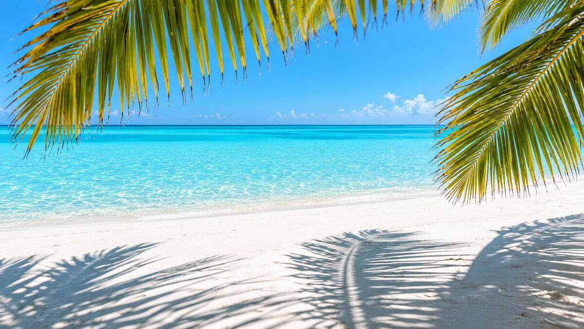 &copy; Villa Park Sun Island 5*