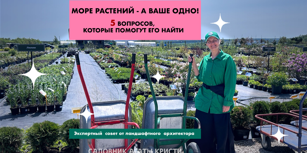 Море растений - а ваше одно! 5 вопросов, которые помогут его найти