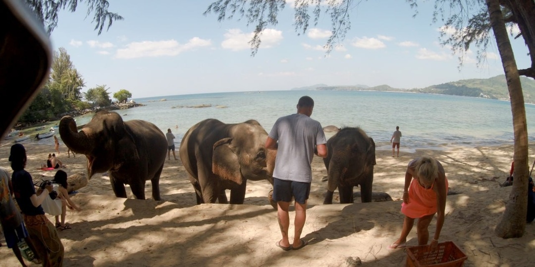 Первый опыт с Phuket Cheap Tour: экскурсии, достопримечательности и советы перед поездкой на Пхукет
