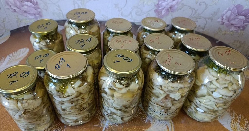Засолка ивовых(тополиных)груздей: пошаговый рецепт идеальной заготовки