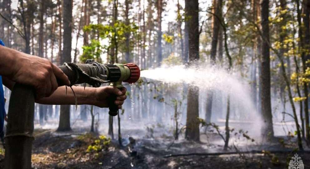 До 7 выросло число районов с IV классом пожарной опасности в Воронежской области