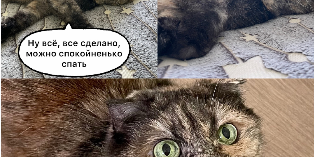 7 весёлых  мемов про нашу невесёлую жизнь