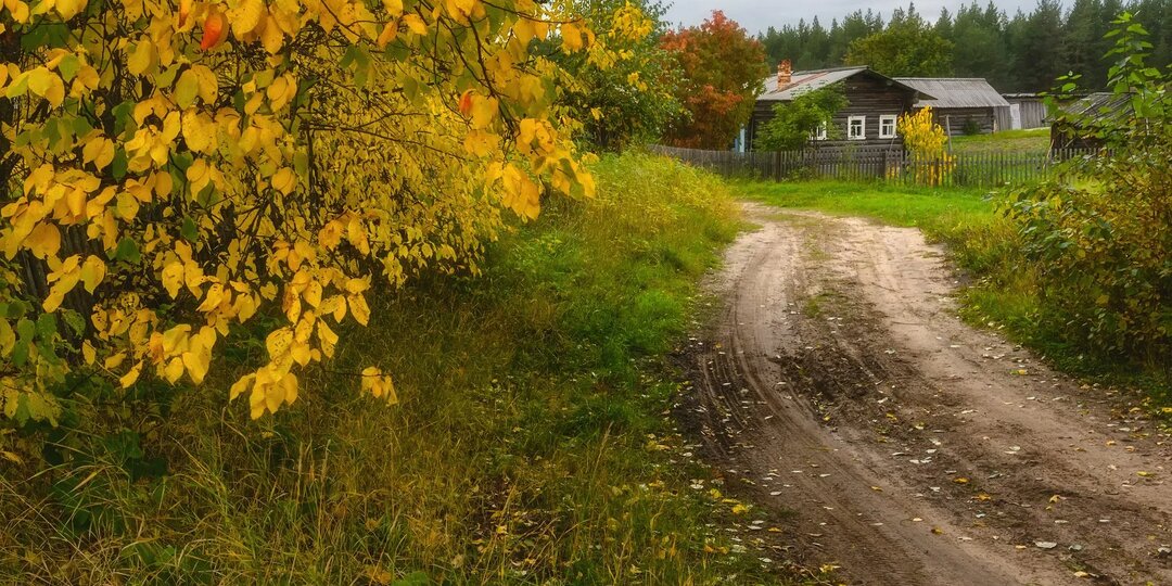 Осенние прогулки с детьми: как я превращаю сбор листьев в приключение