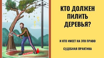 Пилу в руки! Местная жительница требует спилить деревья, которые сама посадила под ЛЭП