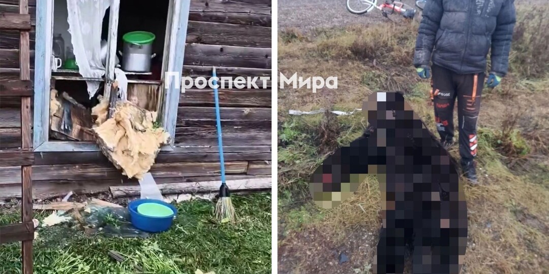 В Красноярском крае медведь попытался залезть в жилой дом