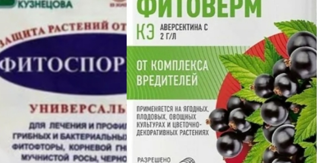 Фитоверм и фитоспорин - когда приставка лишь коммерческий прием