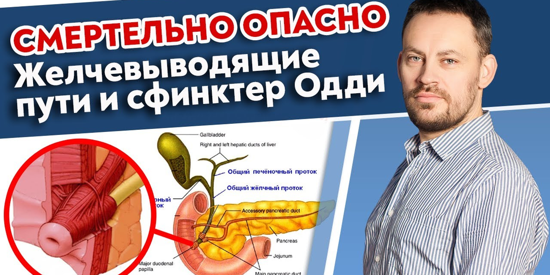 Одна точка под рёбрами справа — тяжело после жирного? Как найти зону ЖЕЛЧНОГО и мягко ей помочь