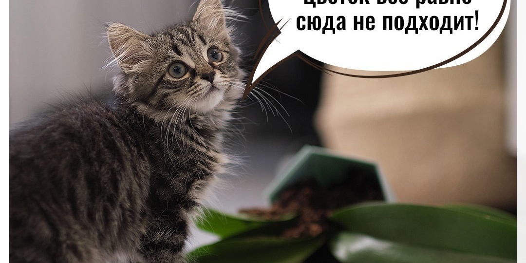 Главный ландшафтный дизайнер уже скучает по работе