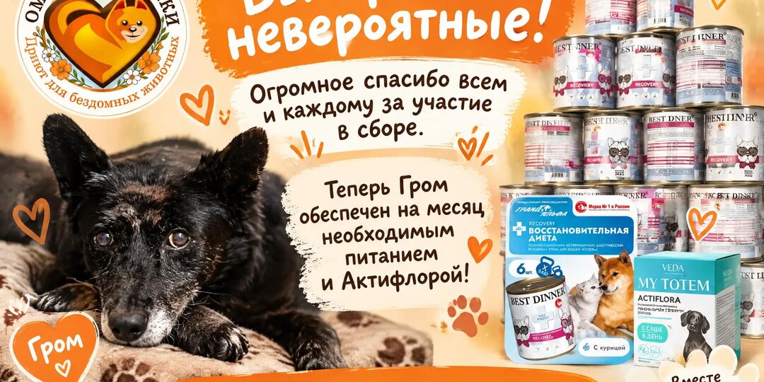 Гром будет сыт, доволен, а его животик под надежной защитой. Одной проблемой меньше!