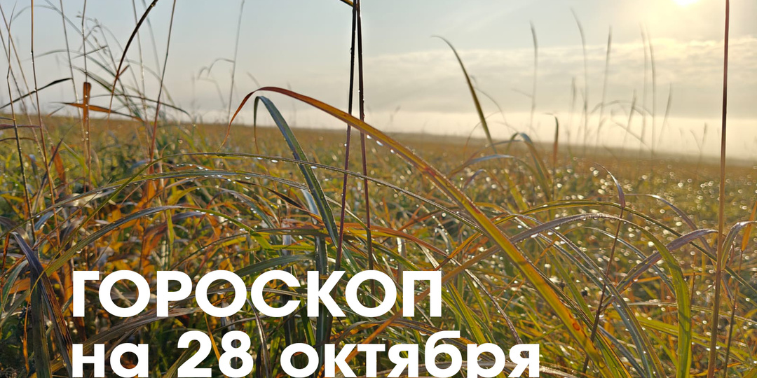 Гороскоп на 28 октября 2026 года: день призывает смело идти навстречу переменам, полагаясь на мудрость и искренность чувств