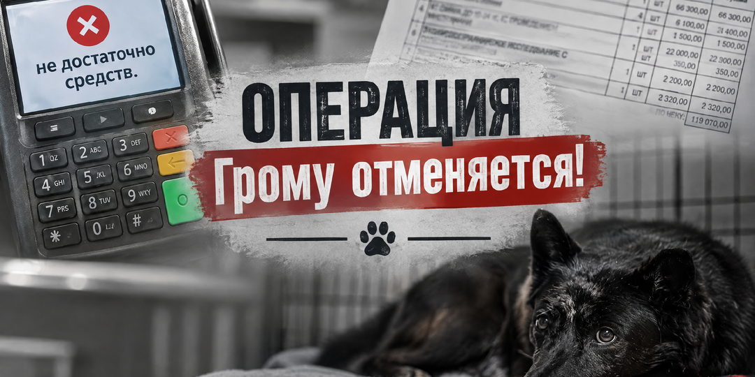Последний шанс для Грома...