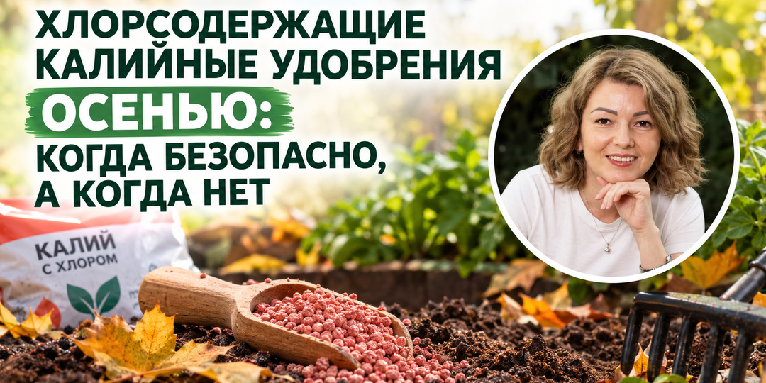 Хлорсодержащие калийные удобрения осенью: когда безопасно, а когда нет