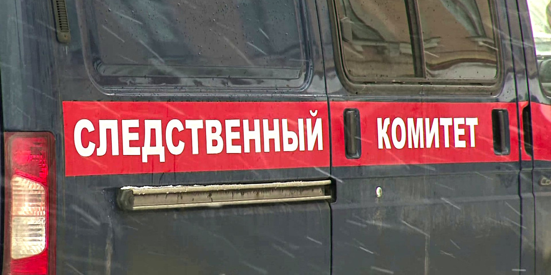 В Ленобласти задержали мужчину за распространение фейков о ВС РФ
