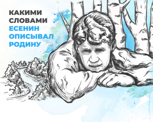 Виджет маскот