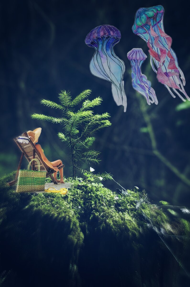 Вместо пляжа - поляна, вместо пальмы - ёлка!