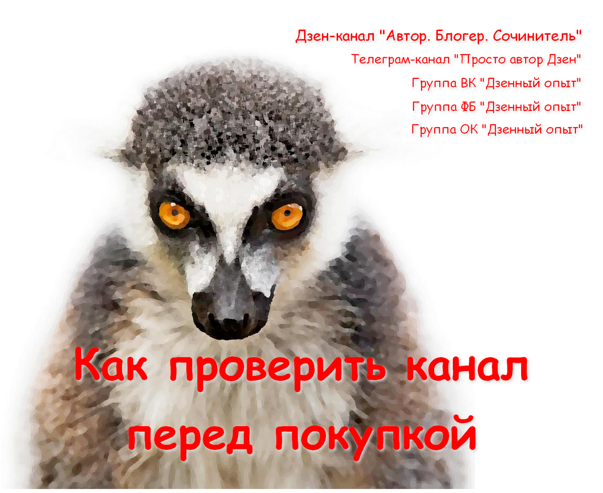 Статьи дублируются в ТГ, ВК, ОК, ФБ. Ссылки в описании на стартовой странице канала