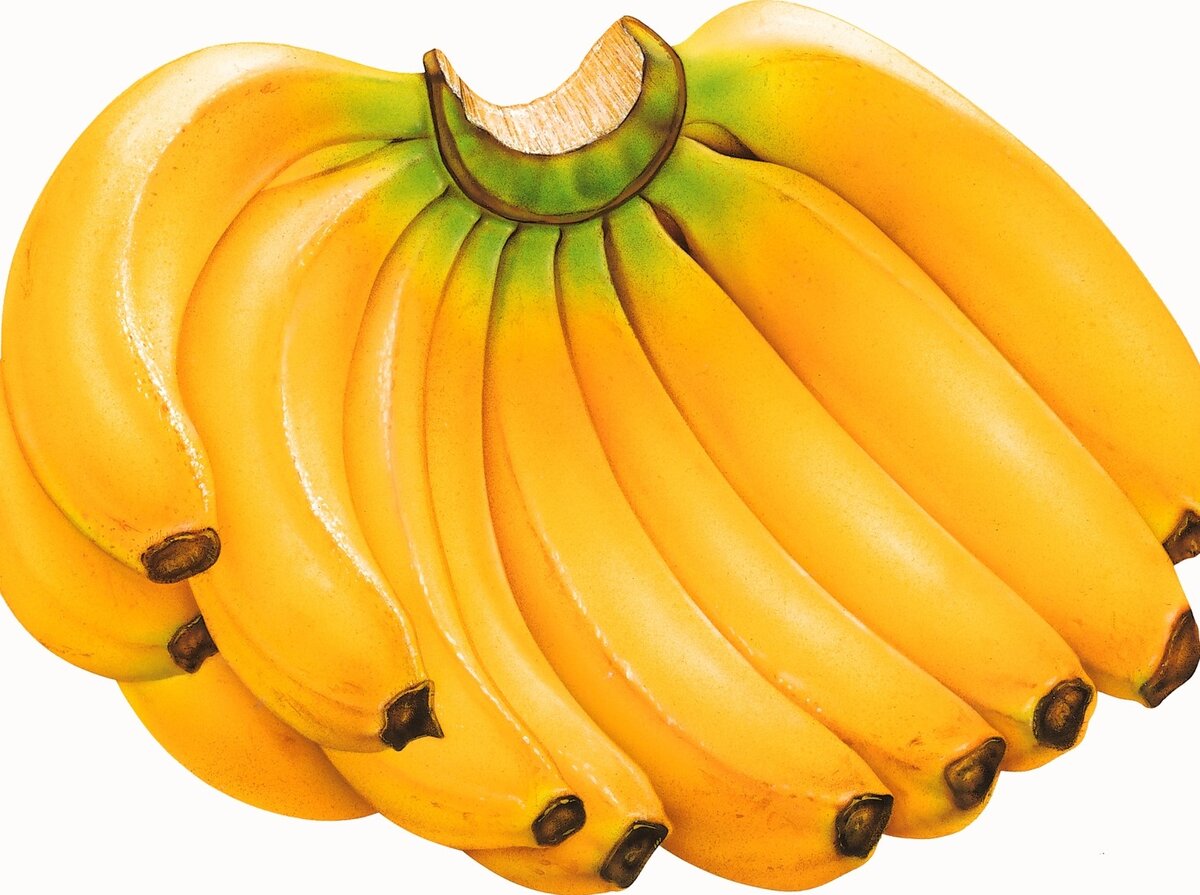 Изображение с Яндекс.Картинки