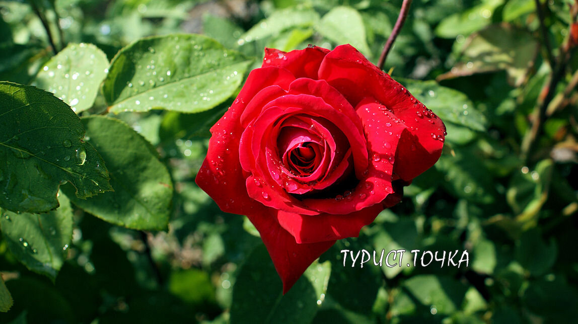 Почти год каналу-малышу