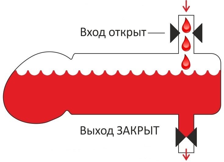 Как сохранить потенцию: советы уролога