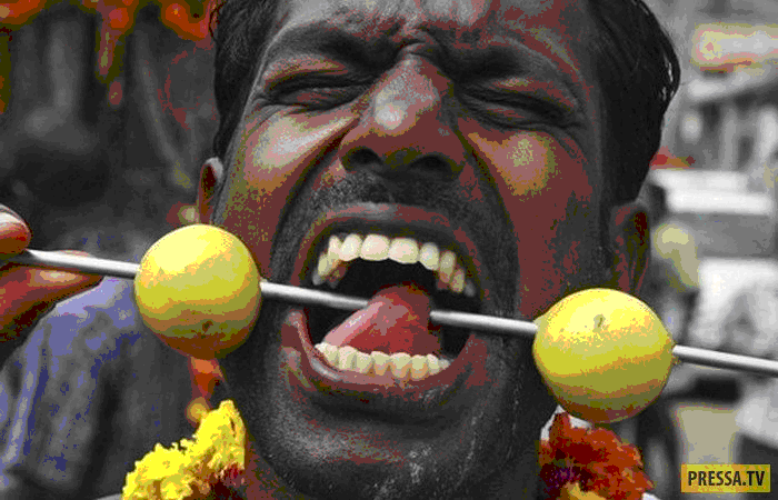 Странная традиция: праздник пирсинга Тайпусам.