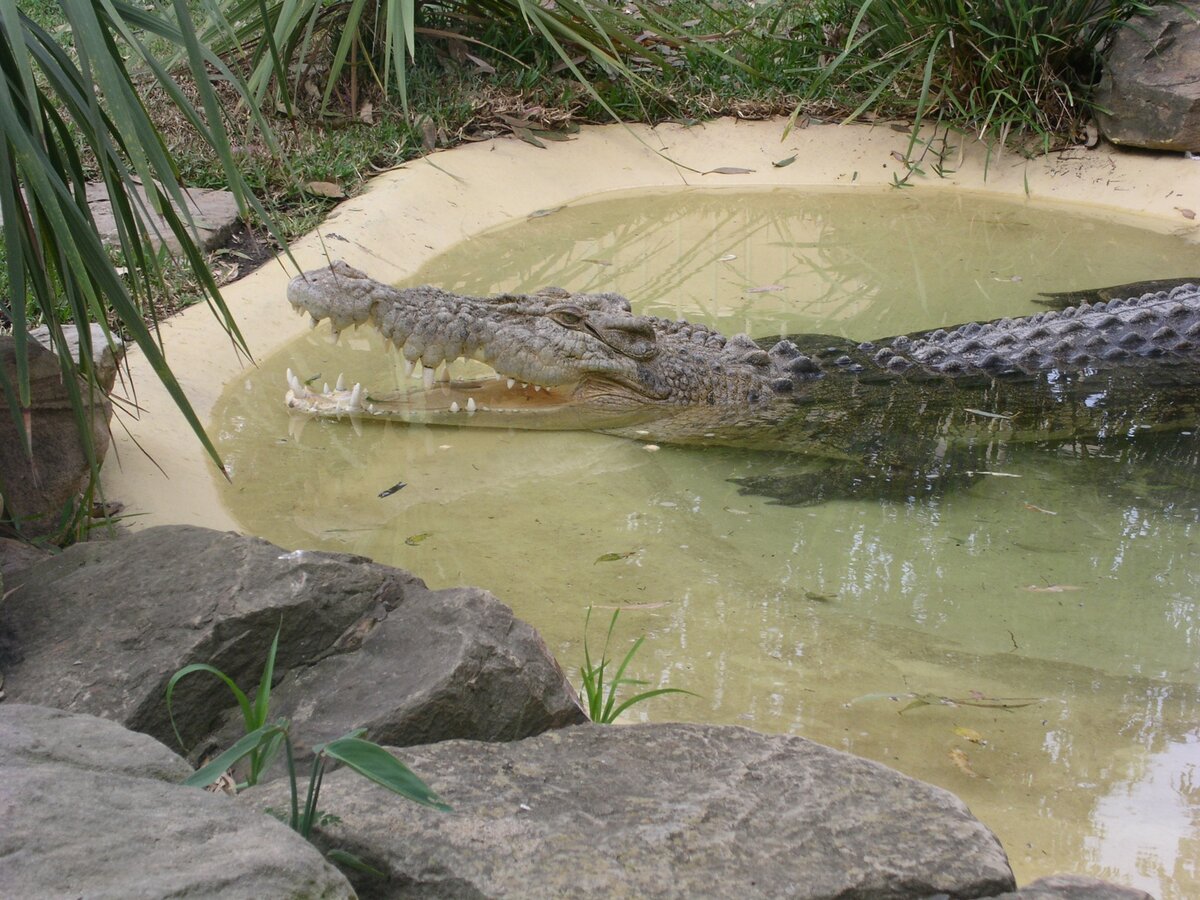 из личного архива