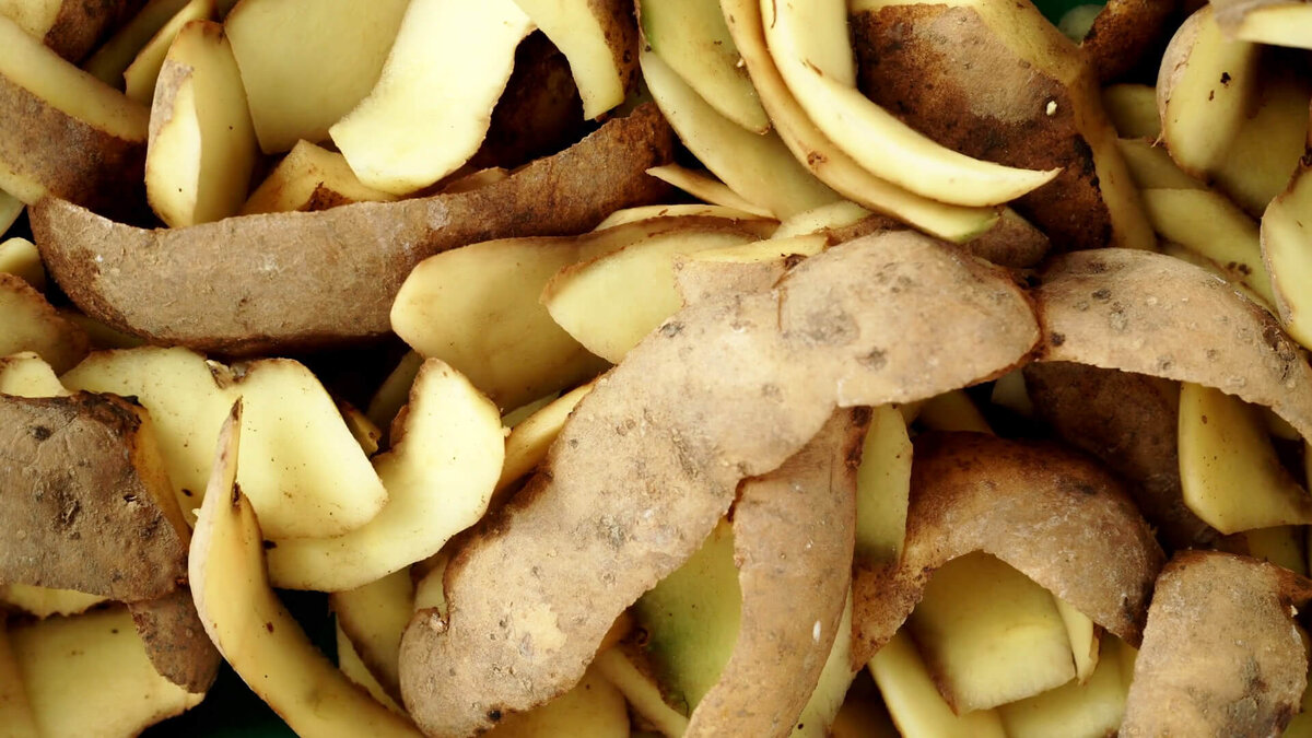 Очистки картофеля - чудо подкормка для всех культур. Рассказываю пошаговый Рецепт применения, которым пользуюсь уже…