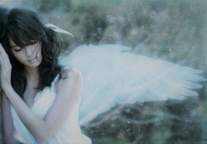 Она успела сделать два шага, как ее оглушил визг тормозов,  и в нескольких сантиметрах остановилась машина. 