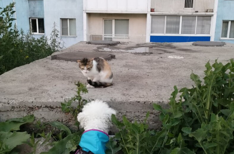 Фото предоставлено Ириной Митюковой 