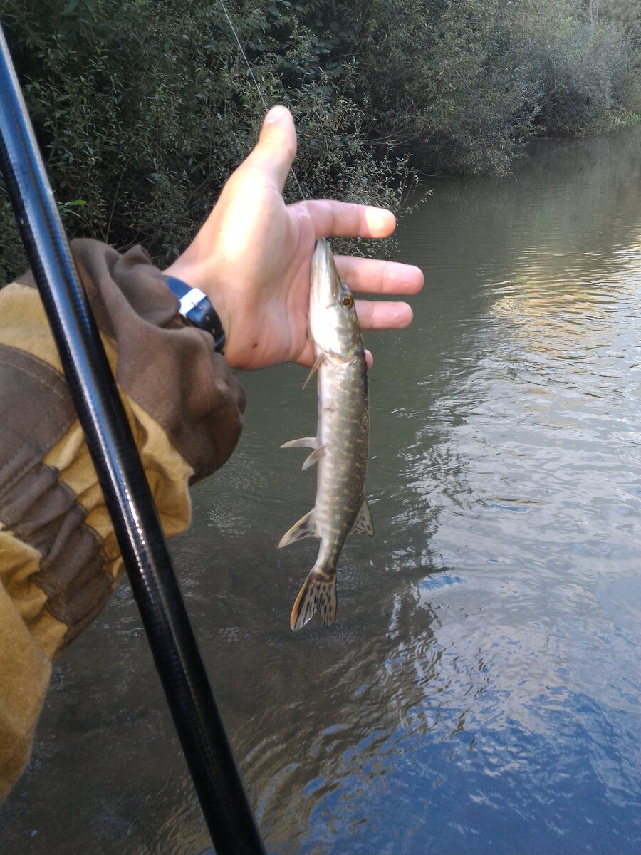 Попалась на мормышку.