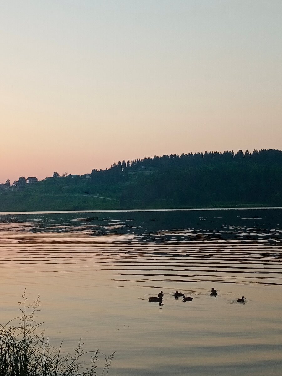 11.07.2020