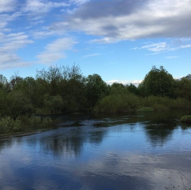 из интернета