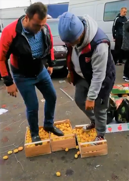 Фото: скрин из видео