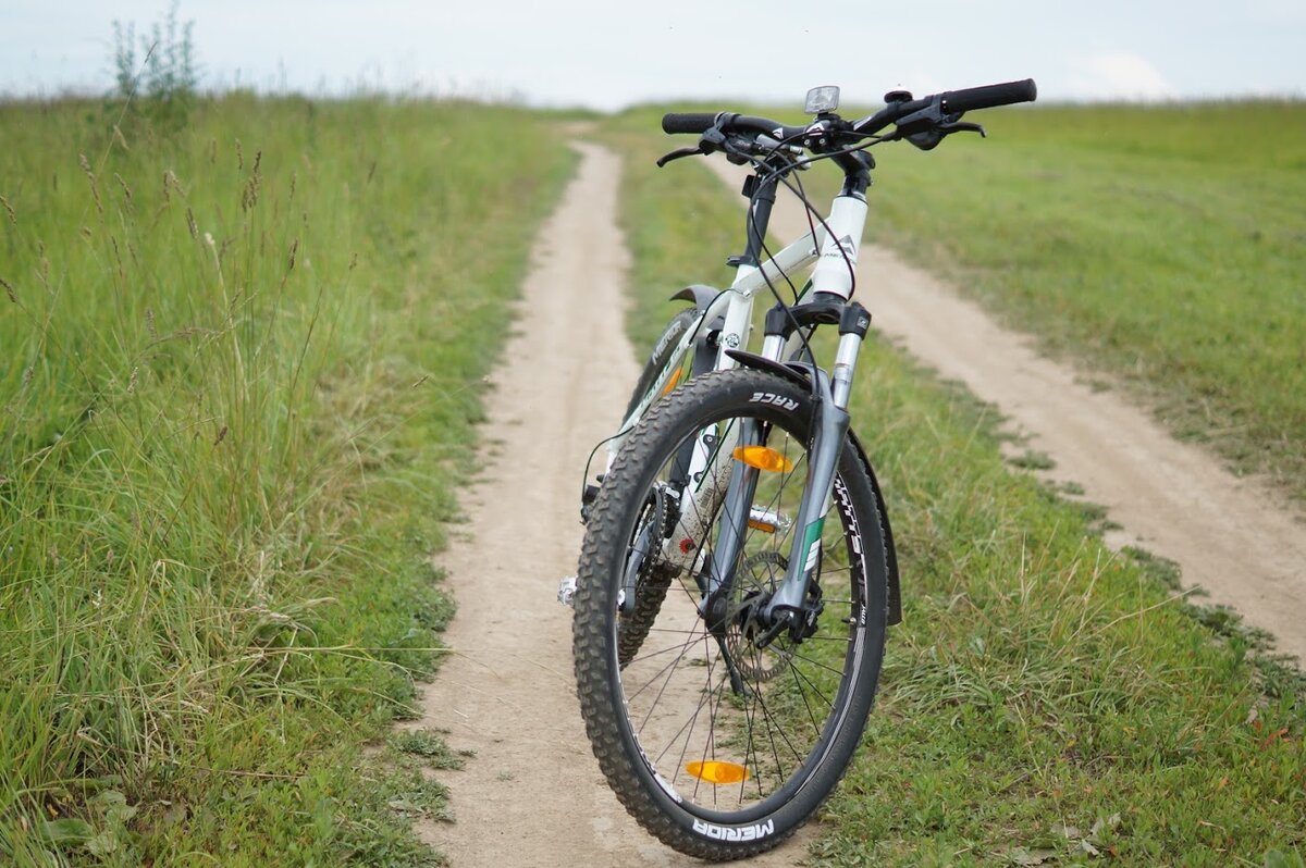 Мерида (Личное фото)