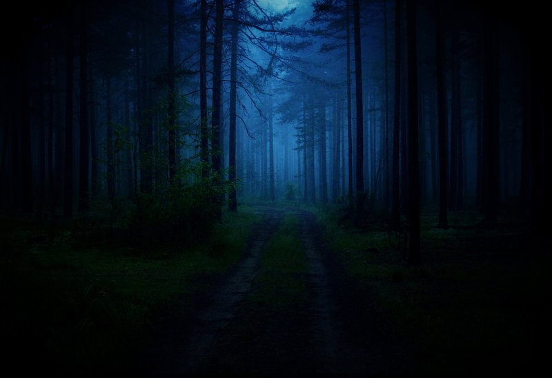 фото из открытого источника