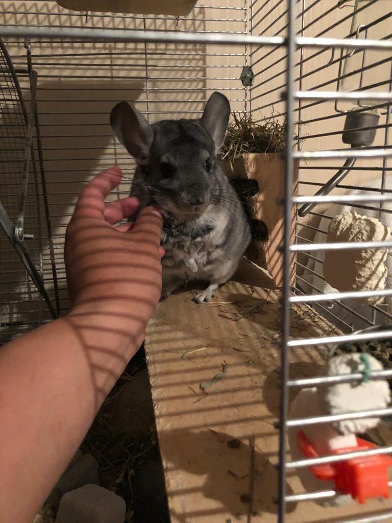 А так встречаем 