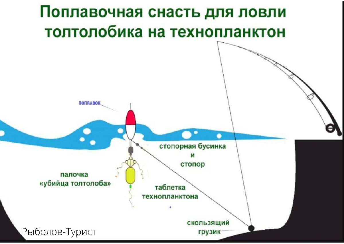 Ловля толстолоба со дна: на что ловить и где ловить