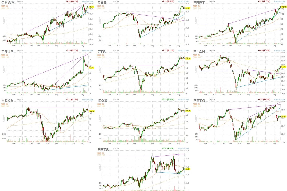 графики 10 компаний США из сектора товаров и услуг для домашних животных