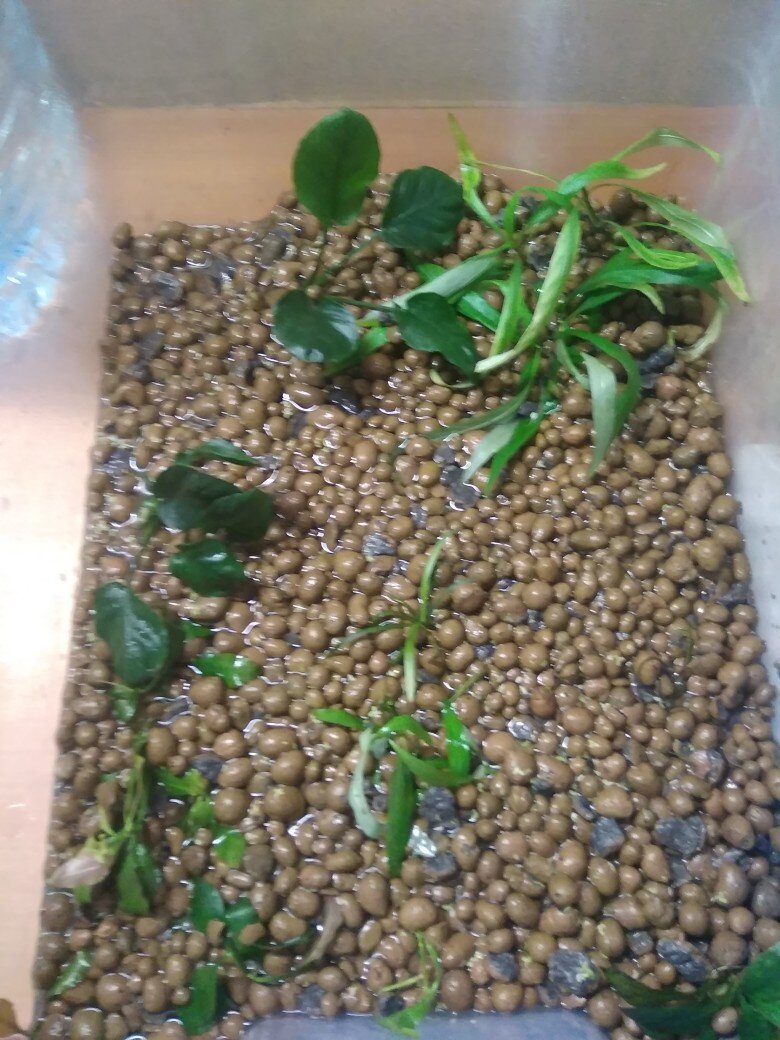 убрала только все камни отсюда