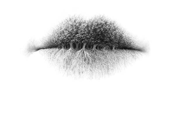 Что вы увидели первым? 