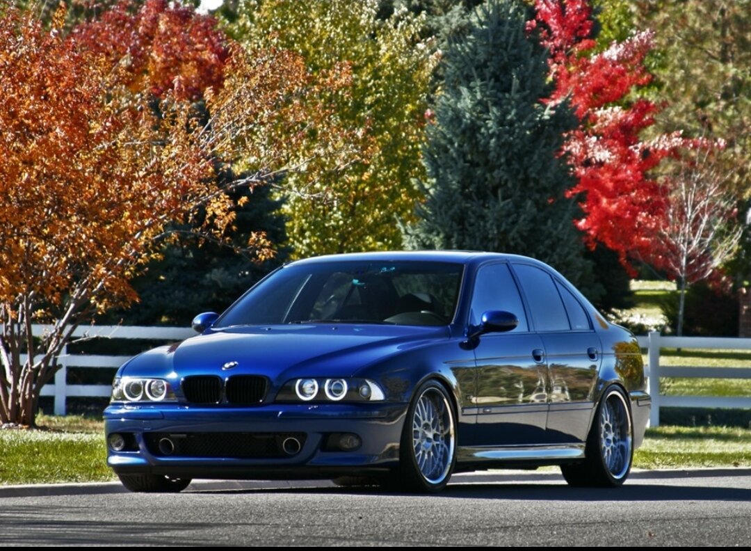 Что нужно знать о BMW M5 E39 | BMW Авто-Фото, Статьи | Дзен