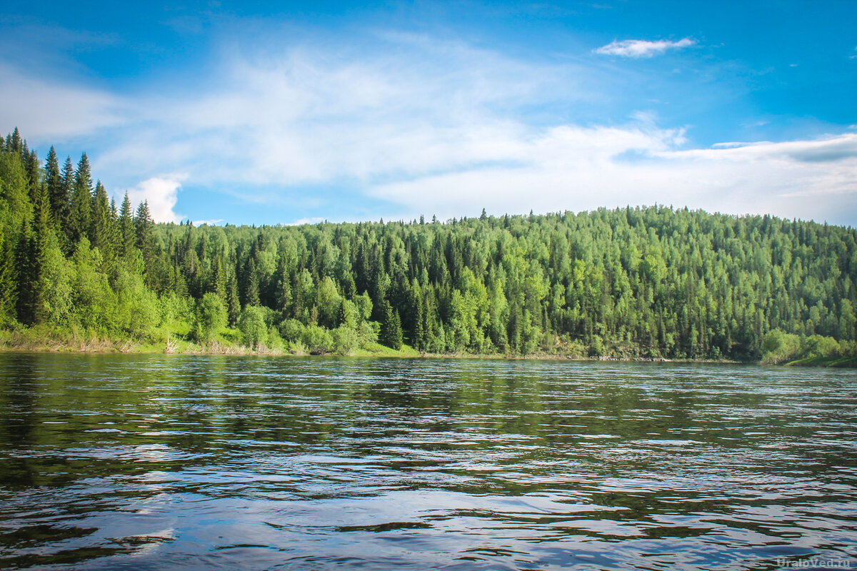 А так урочище Белые Мхи выглядит в наши дни