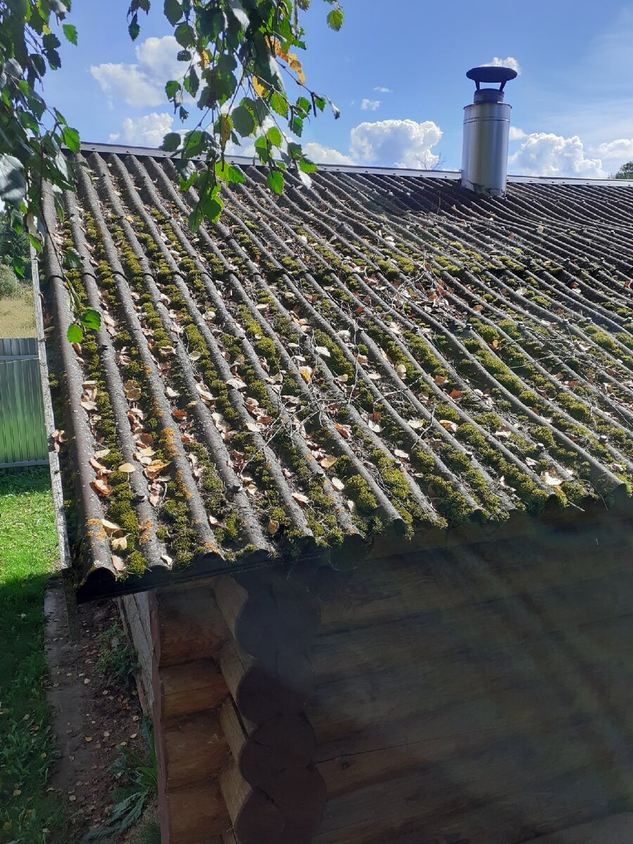 На чистку мху наплевать, вырастает вновь