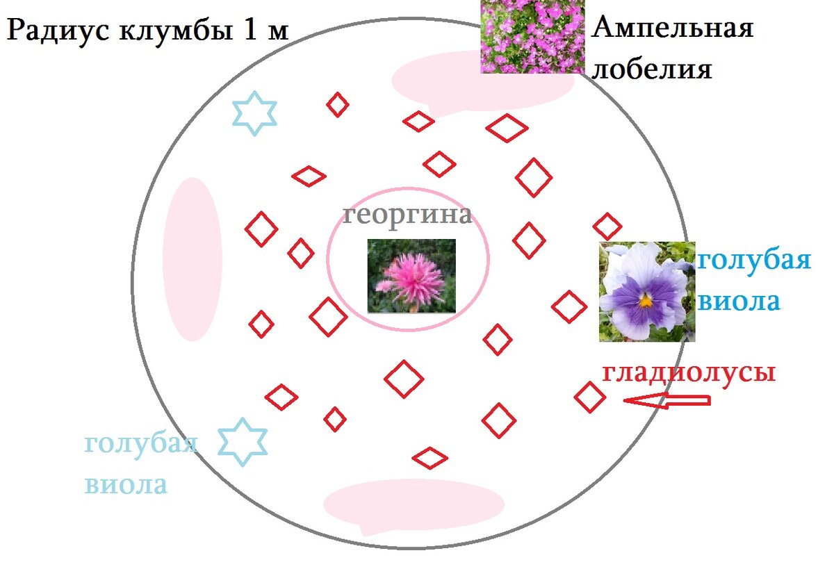 Схема клумбы непрерывного цветения из многолетников: лучшие виды и правила их оформления