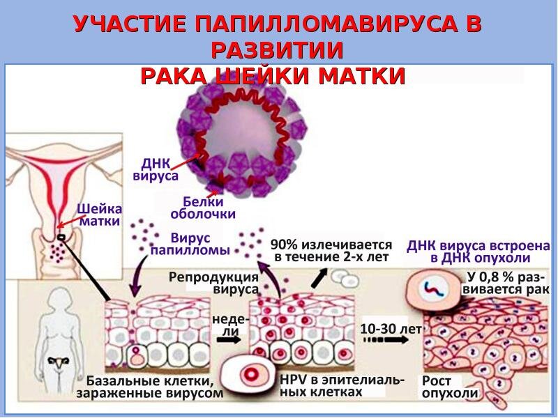 изображение из открытых источников