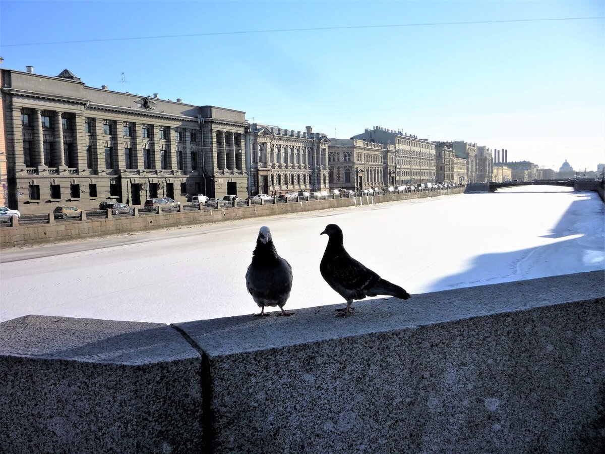 Набережная Фонтанки. Ломоносовский мост