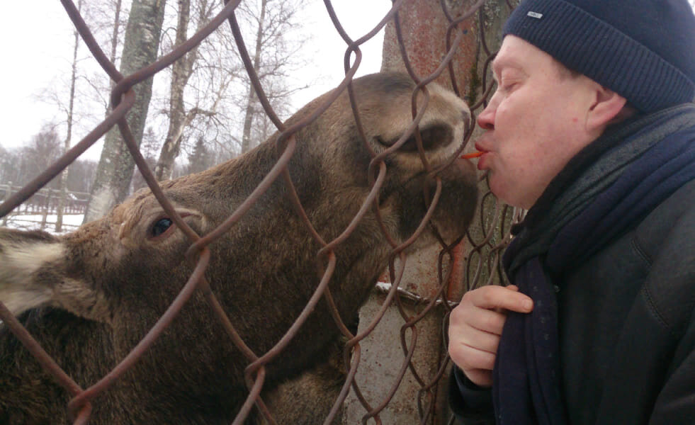 Вот так можно было кормить лосей раньше.