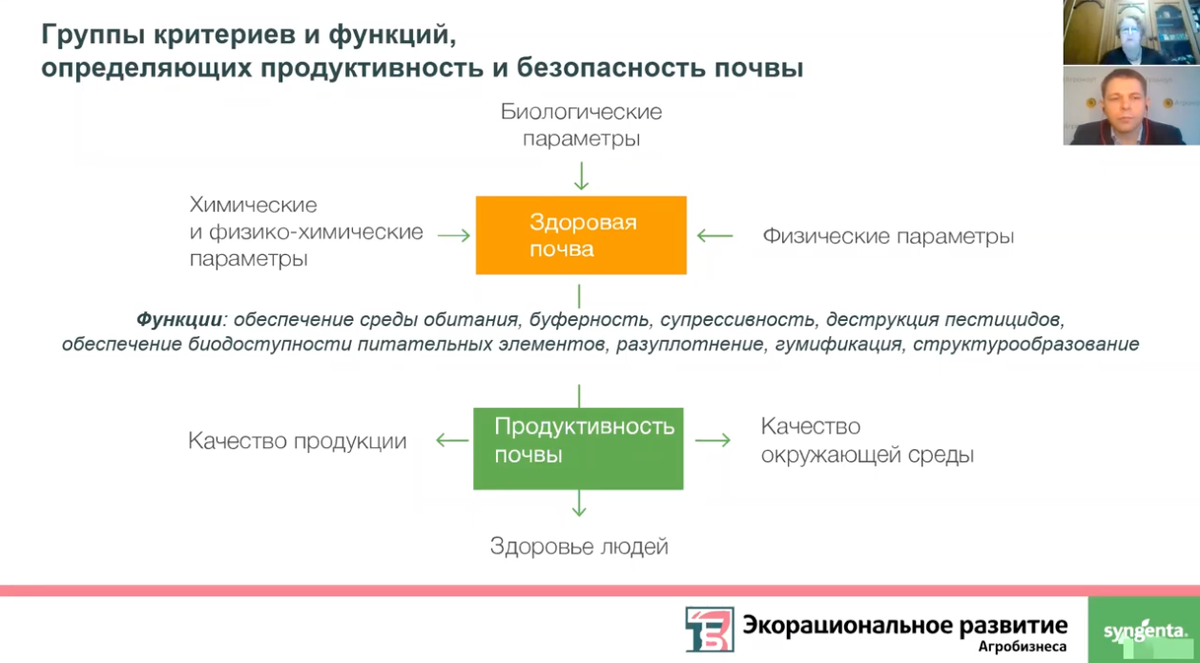 Группы критериев и функций, определяющих продуктивность и безопасность почвы. Фото: Елена Соколова